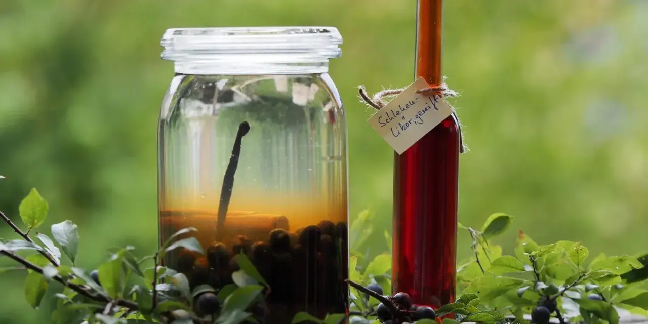 Ein Glas mit Schlehen und eine Flasche Schlehenlikör, bereit für Schlehen Rezepte.