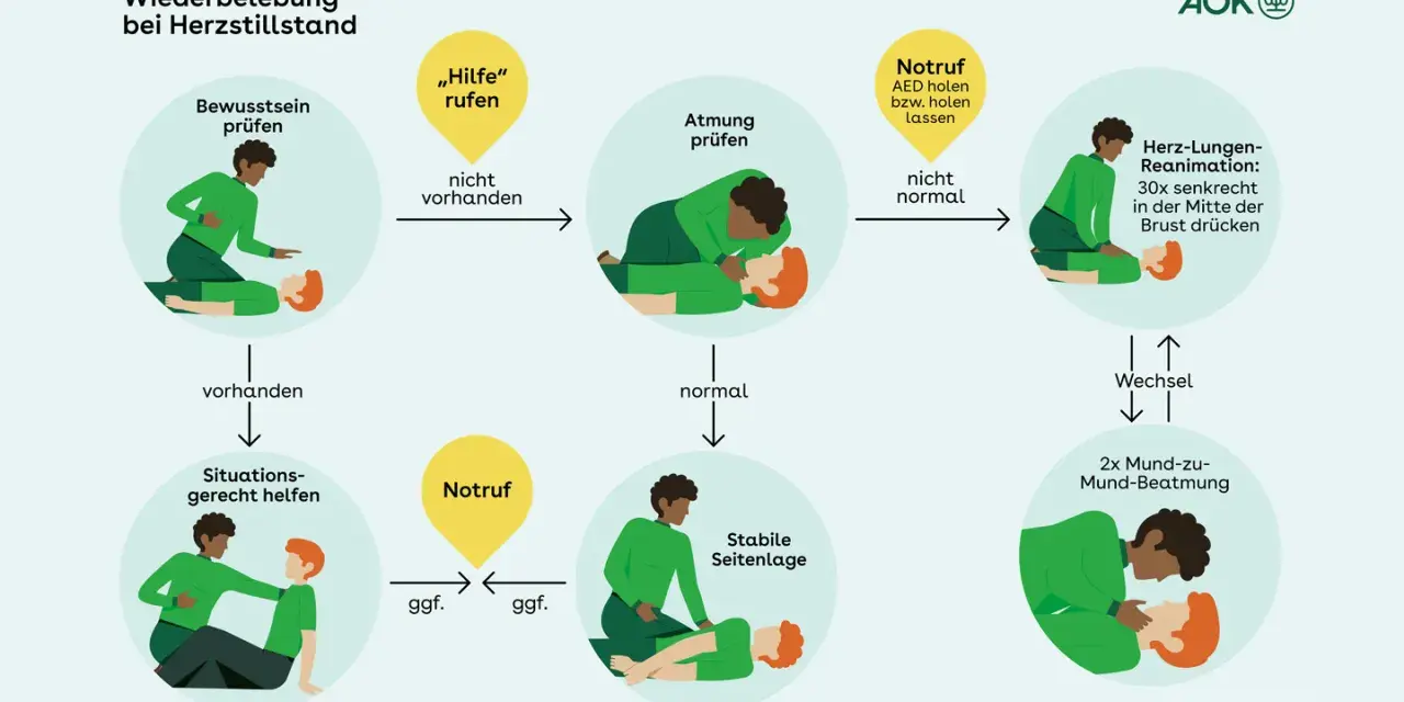 Schema zur Wiederbelebung bei Herzstillstand: Bewusstsein, Atmung prüfen, Notruf, Reanimation, Seitenlage.