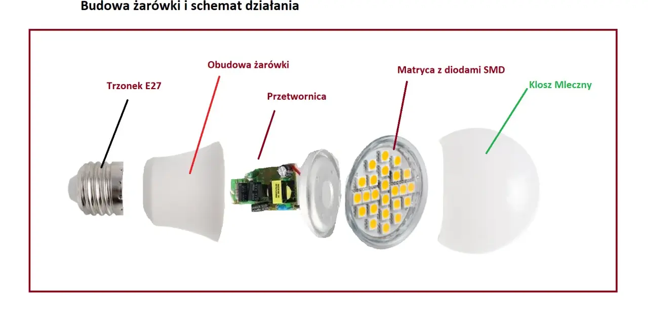 Rozłożona żarówka LED: trzonek E27, obudowa, przetwornica, matryca z diodami SMD i mleczny klosz. Poznaj budowę żarówki.