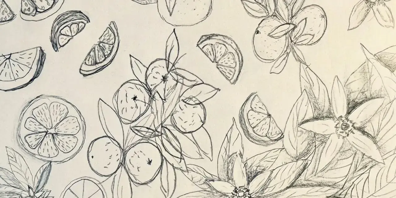 Dibujos creativos de naranjas enteras, en rodajas y flores de azahar, con un estilo a lápiz que evoca la frescura del campo.