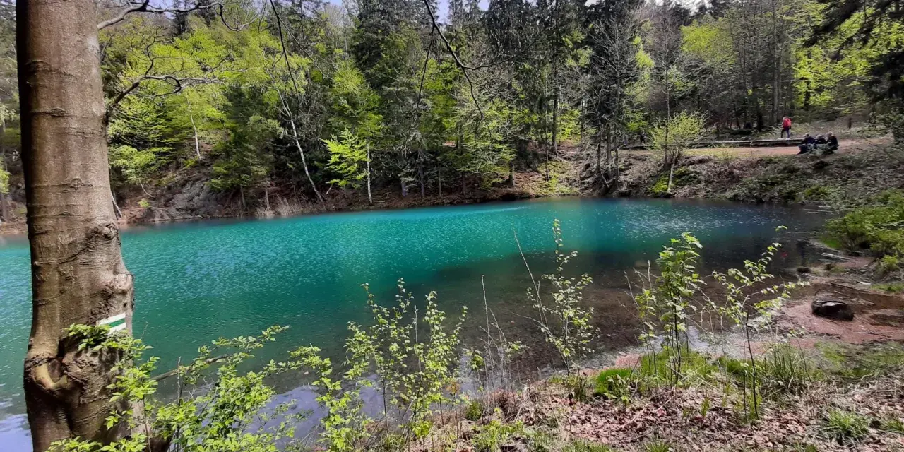 Turkusowe jezioro w lesie, idealne na jedne z wielu atrakcji do 30 km od Wrocławia.