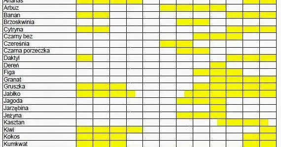 Kiedy jest sezon na kokosy? Odkryj, kiedy są najświeższe i najlepsze