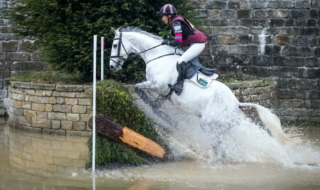 Cheval blanc sautant un obstacle d'eau lors d'un parcours de saut d'obstacle. L'eau éclabousse autour du cheval.