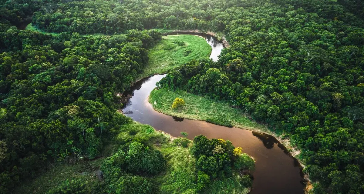 Un serpenteante río amazonas se abre paso entre la exuberante selva verde, un tapiz de vida salvaje y naturaleza virgen.