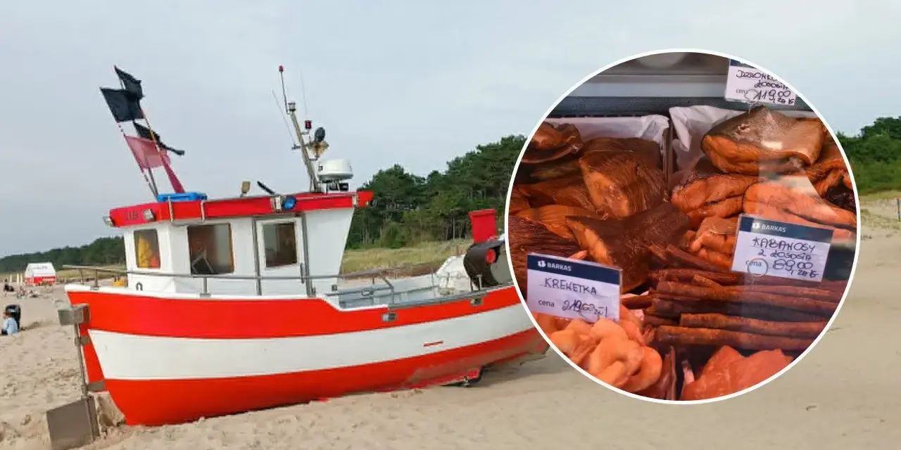 Czerwono-biała łódź na plaży. W okręgu widać ryby i tabliczki z cenami, np. "wyprawa na dorsza cennik".