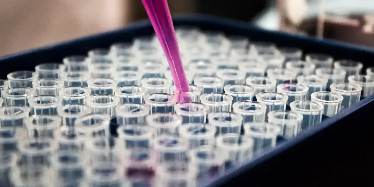 Różowa pipeta dodaje płyn do probówek w laboratorium. To kluczowy etap w badaniu histopatologicznym, który pozwala na analizę próbek.