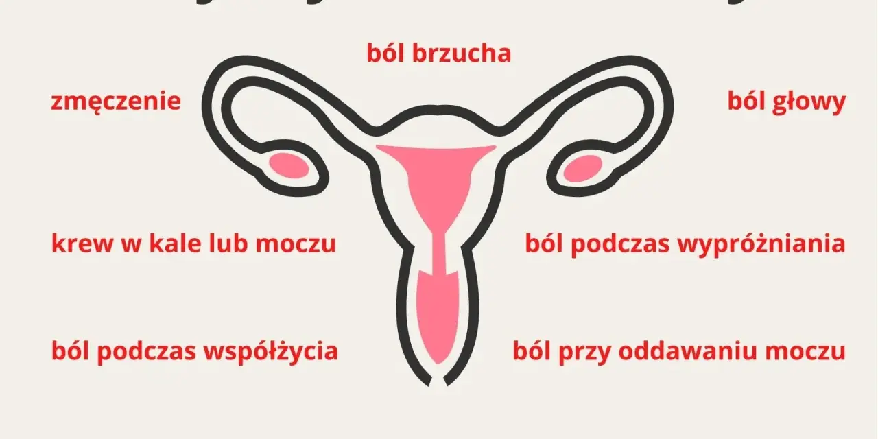 Objawy endometriozy: ból brzucha, zmęczenie, krew w kale/moczu, ból podczas współżycia, obfite miesiączki, ból głowy, ból podczas wypróżniania, ból przy oddawaniu moczu, niepłodność.