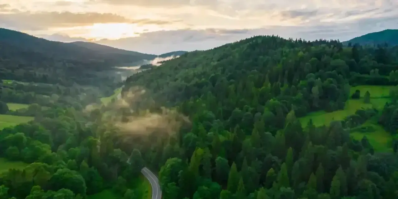 Mglista dolina w Bieszczadach, kręta droga wśród zielonych lasów. Idealne miejsce, by odkryć, co warto zobaczyć w tych górach.