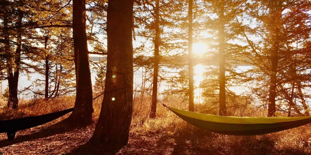 Sunlight streams through trees, illuminating two hammocks strung between them. A perfect spot to embrace how to live a simple life.