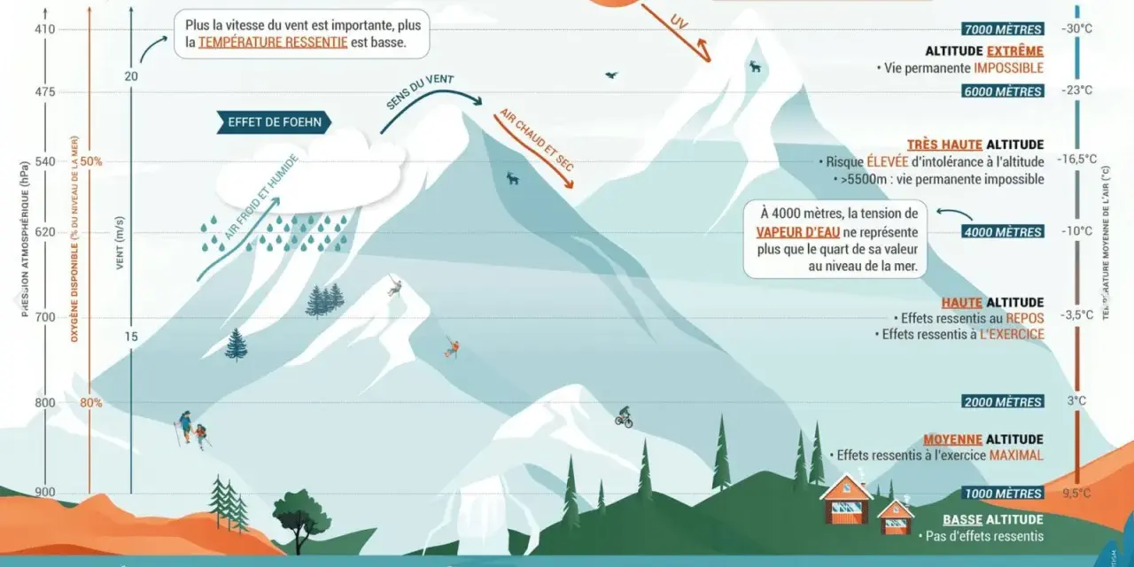 La **perte température altitude** est illustrée par une montagne. Le vent, l'air froid et humide, et l'air chaud et sec influencent les conditions.
