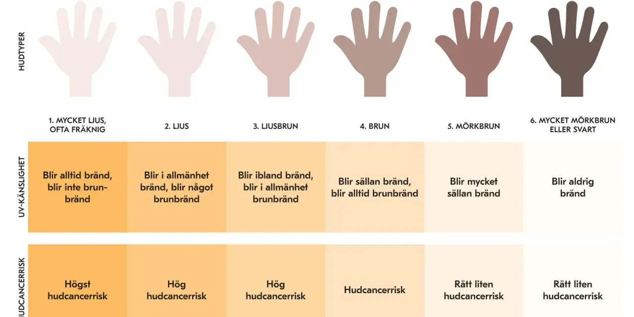 Diagram visar hudtyper och deras UV-känslighet. Vid vilket UV-index blir man brun beror på hudtyp, från ljus som bränns till mörk som blir brun.