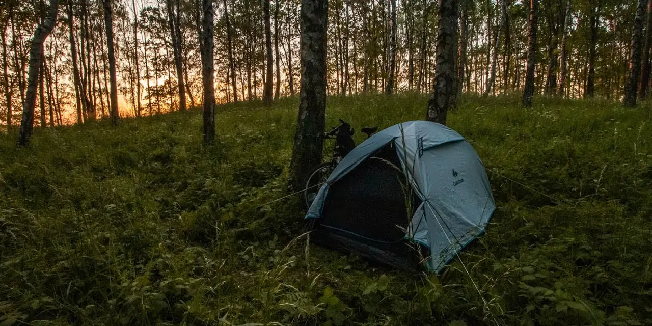 Namiot nad jeziorem, otoczony drzewami i trawą, czeka na noc. Zachód słońca maluje niebo na pomarańczowo.