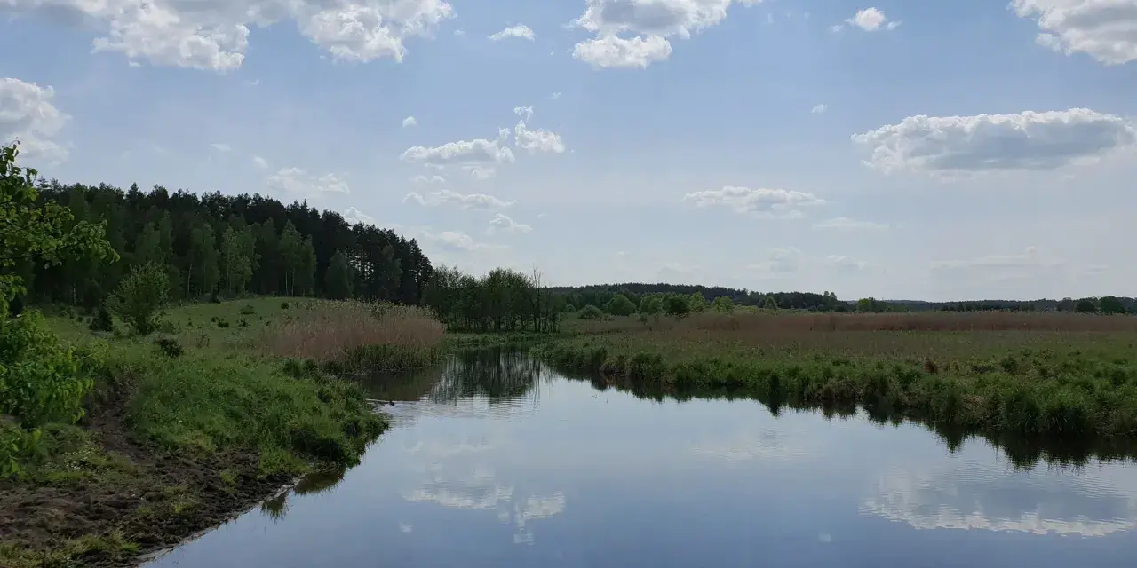 Spokojne jezioro Łańskie odbija błękitne niebo z chmurami. Brzegi porośnięte trawą i trzcinami, w oddali las.