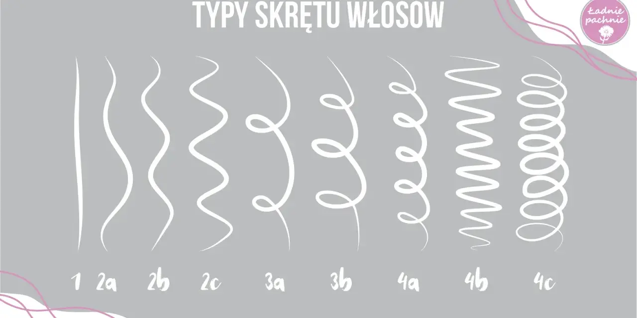 Ilustracja pokazuje typy skrętu włosów od prostych do mocno kręconych. Od typu 1 (proste) do 4c (bardzo mocno skręcone).