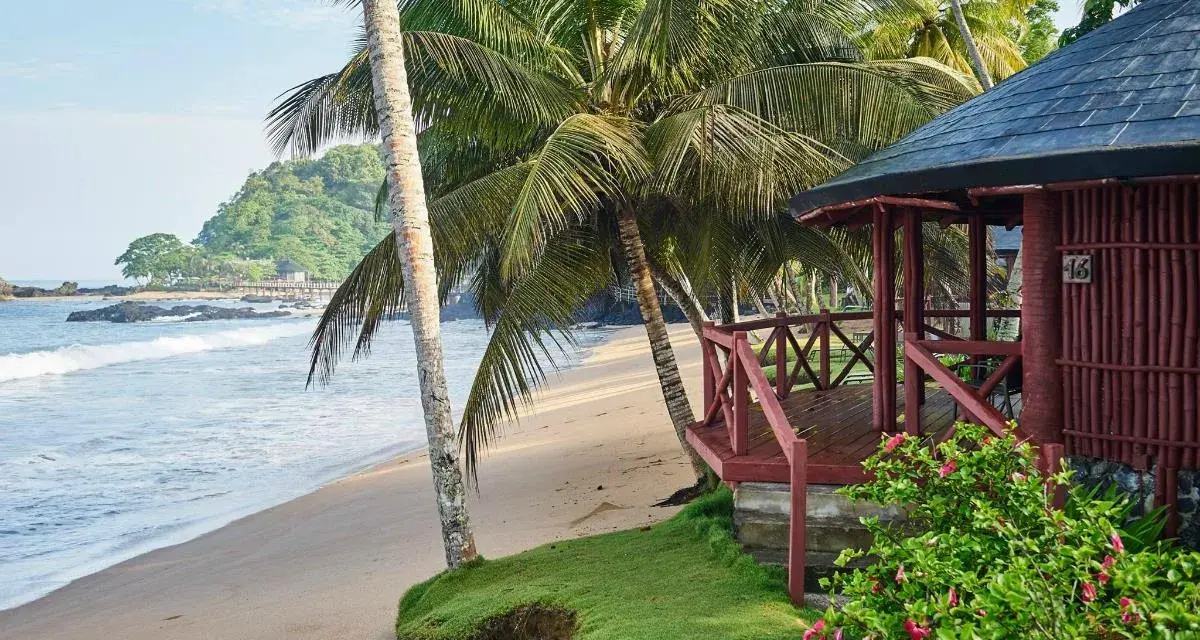 Rajska plaża na wyspie książęcej, z palmami, drewnianym domkiem i oceanem.