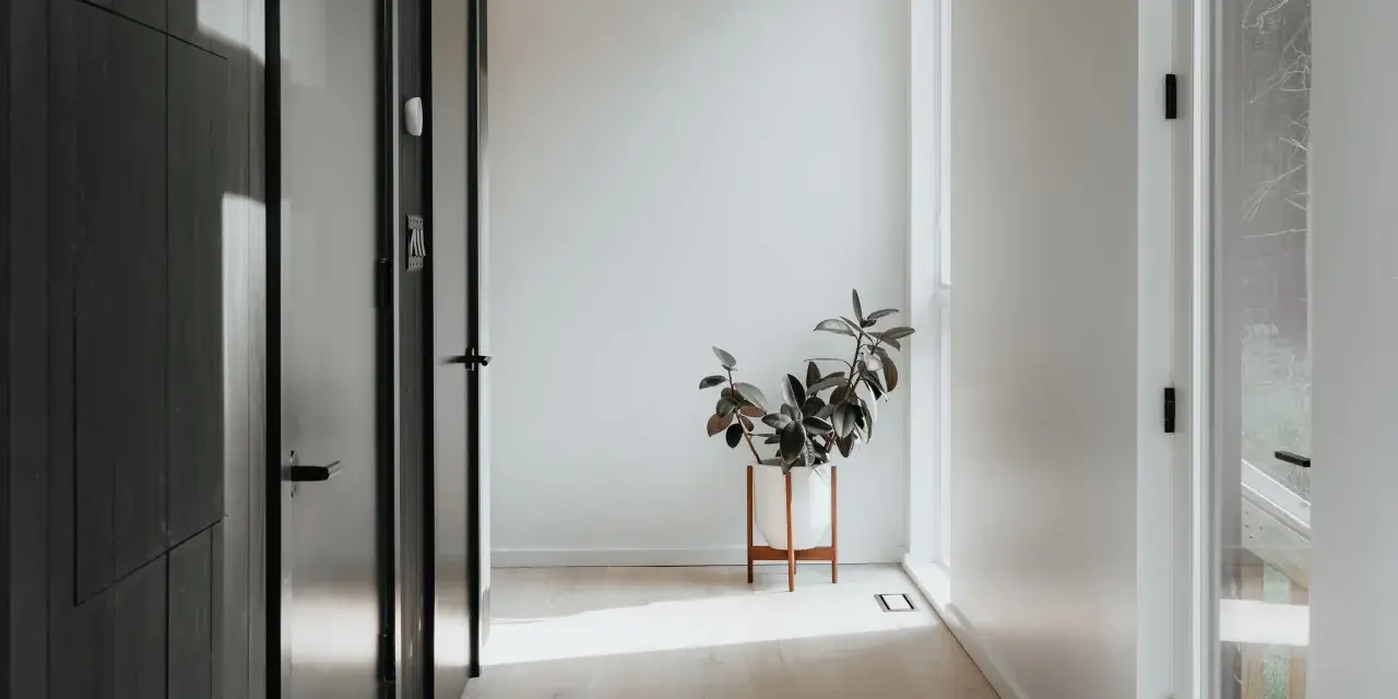 Ideas para como decorar un recibidor pequeño: una planta en maceta blanca sobre un soporte de madera ilumina el pasillo.