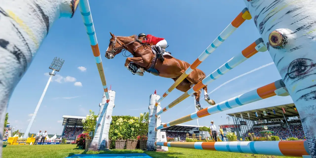 Un magnifique cheval de course brun saute par-dessus un obstacle coloré, sous un ciel bleu clair, lors d'une compétition équestre devant une foule attentive.
