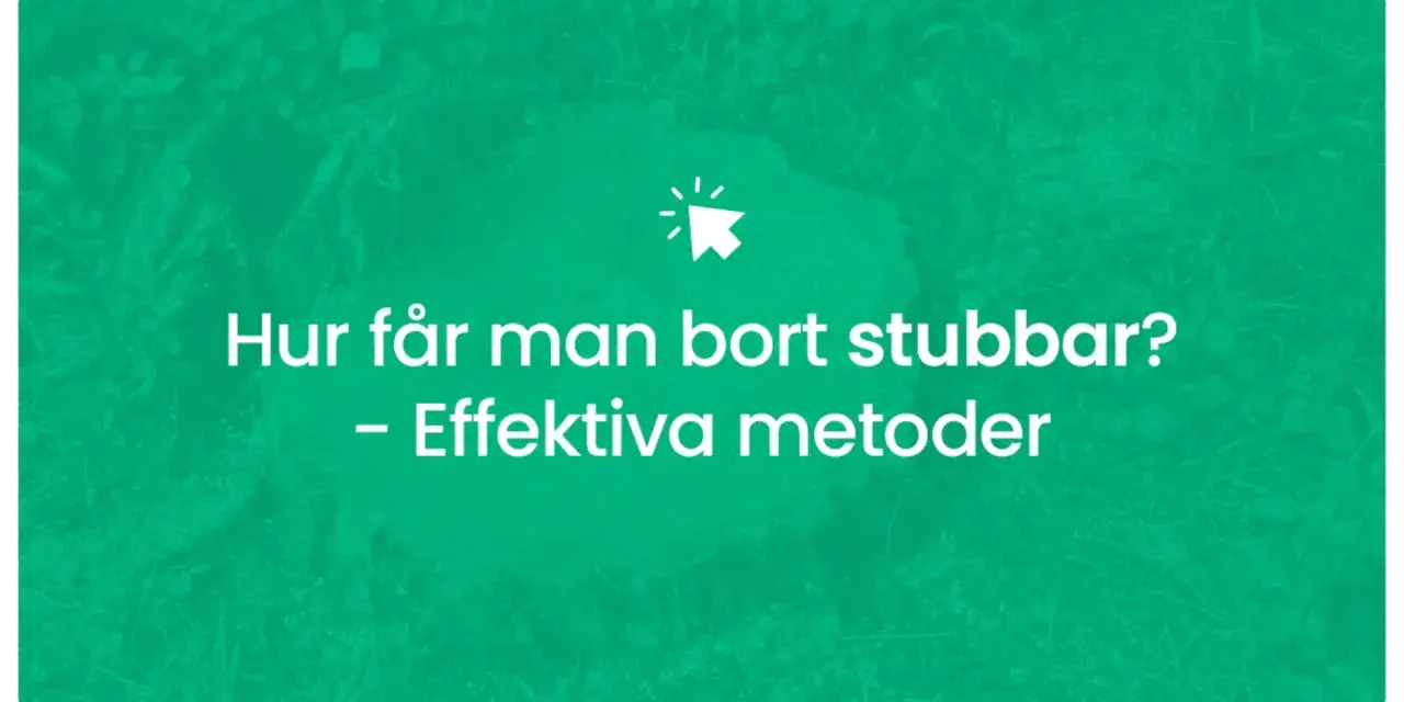 Hur får man bort stubbar? Effektiv metod för att ta bort stubbar.