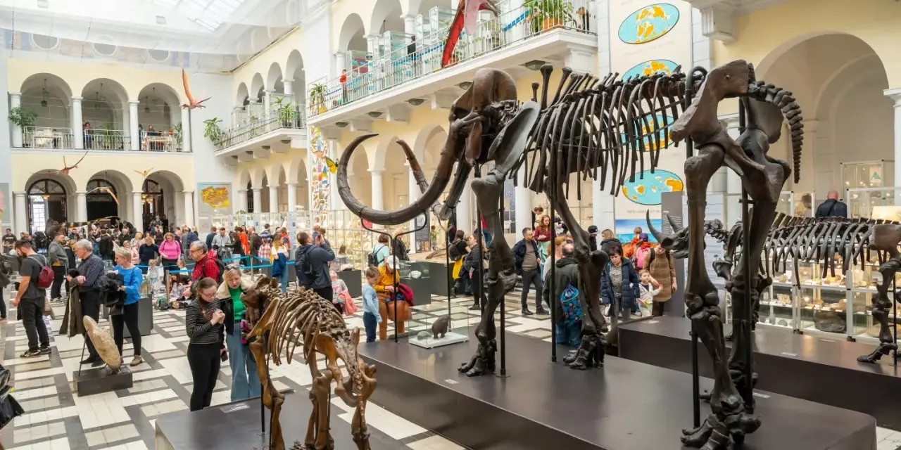 Muzeum Przyrodnicze w Warszawie to świetne miejsce, by dowiedzieć się, co zwiedzić w Warszawie z dziećmi. Szkielety mamutów i dinozaurów robią wrażenie!