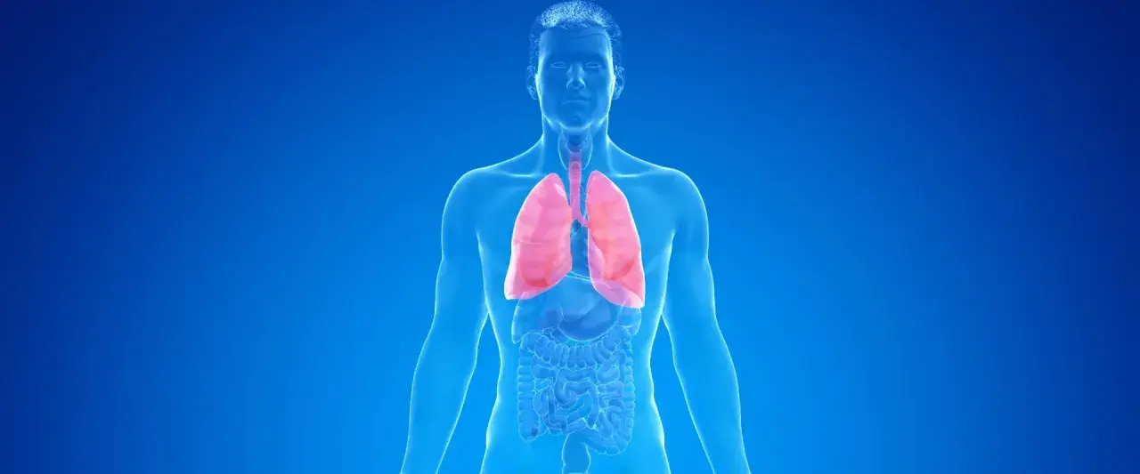 Menschlicher Torso mit roten Lungen, die auf COPD und die Notwendigkeit einer Pflegestufe hinweisen.