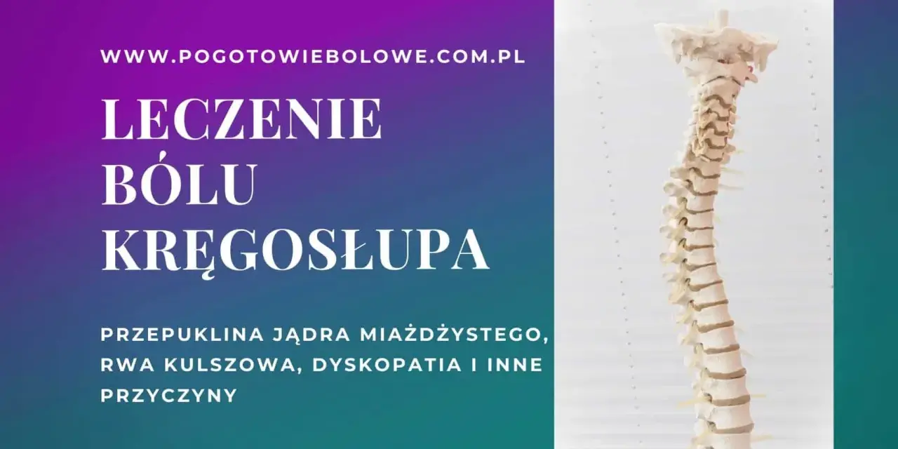 Model kręgosłupa, leczenie bólu kręgosłupa, przepuklina jądra miażdżystego, rwa kulszowa, dyskopatia.