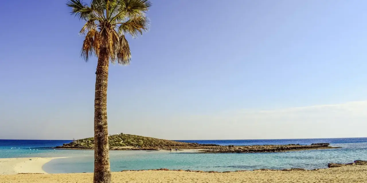 Palma na piaszczystej plaży, turkusowa woda i skaliste wybrzeże. Idealne miejsce na wakacje we wrześniu.