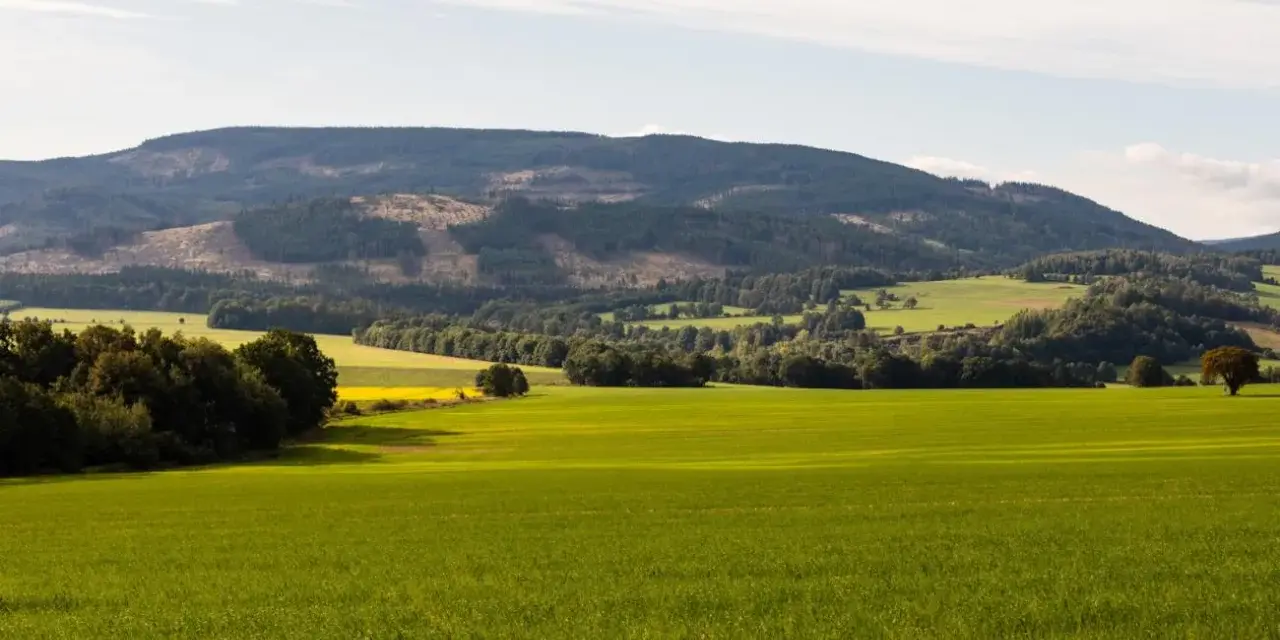 Zielone pola i lasy u podnóża Gór Opawskich. Atrakcje przyrodnicze tego regionu zachwycają o każdej porze roku.