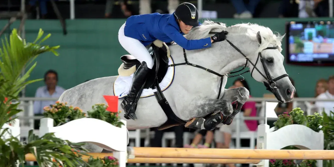 Une cavalière en tenue bleue et blanche saute un obstacle avec son cheval gris. Le cheval, nommé Levisto Z, montre une puissance impressionnante.