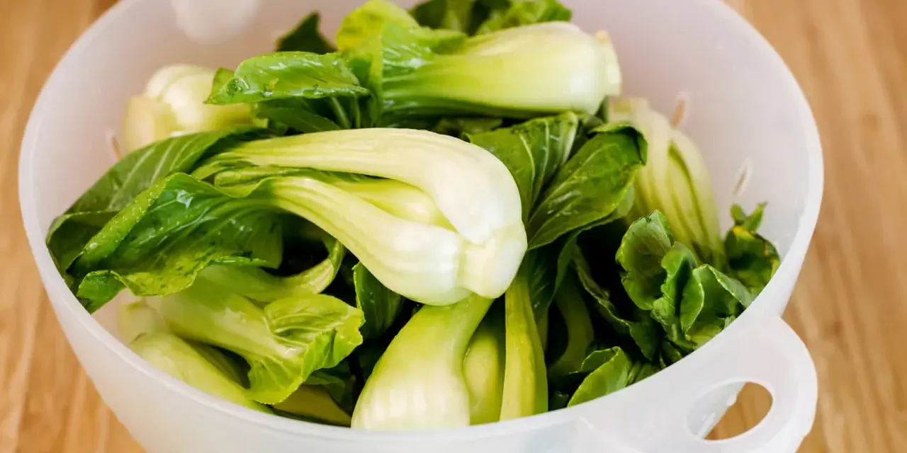 Frischer Pak Choi in einem Sieb, bereit zum rohen Essen. Knackig und grün, eine gesunde Ergänzung für jede Mahlzeit.