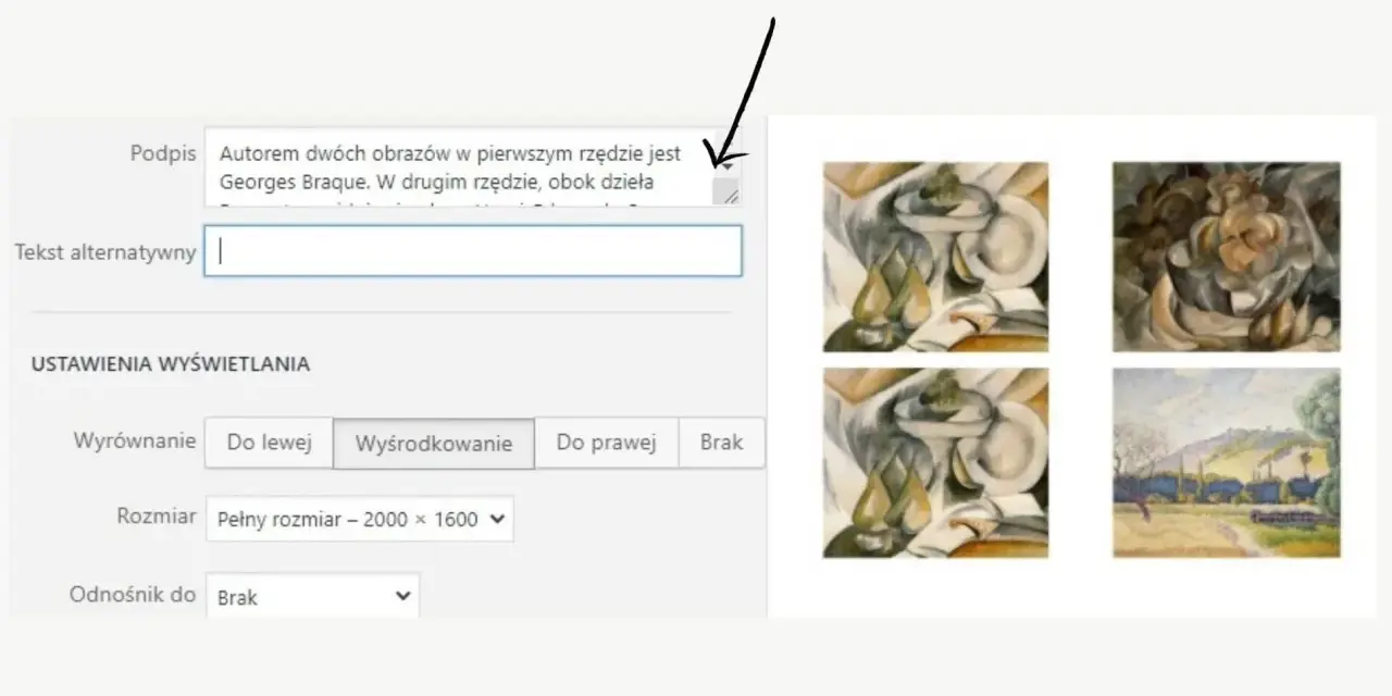 Krótkie opisy do zdjęć: obrazy w stylu kubistycznym, autorstwa Georges'a Braque'a, obok krajobrazu.