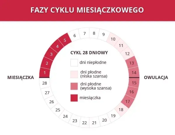 Ile dni trwa miesiączka? Kiedy okres jest za krótki, a kiedy za długi?