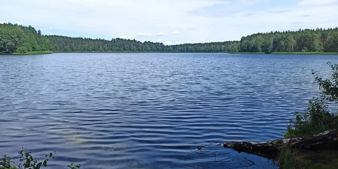 Spokojne jezioro Głęboczek otoczone lasem, z łagodnymi falami na wodzie i błękitnym niebem.