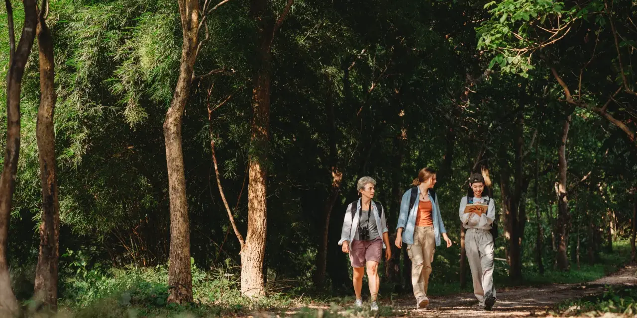 Ojcowski Park Narodowy – jak zaplanować udany wyjazd z bazą noclegową w Sosnowcu