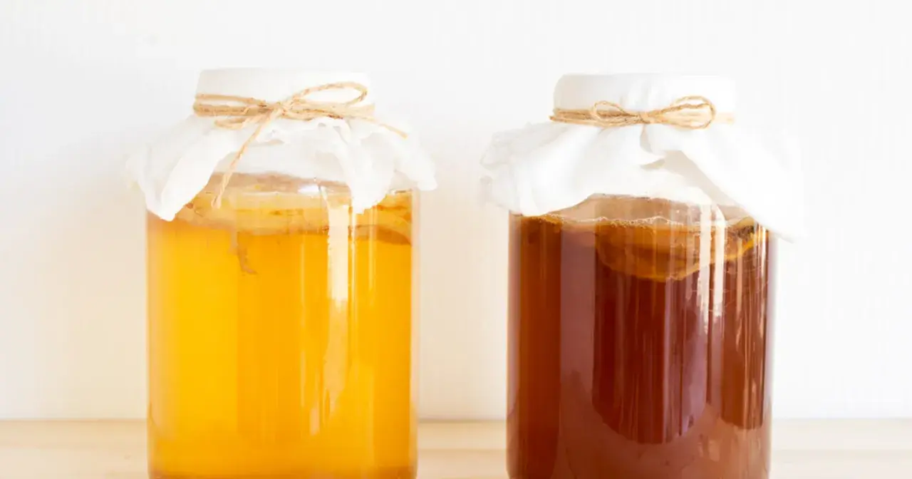 Dwa słoje z kombuchą, jeden jasnożółty, drugi ciemnobrązowy. Czy kombucha jest zdrowa? To pytanie nurtuje wielu miłośników napojów fermentowanych.