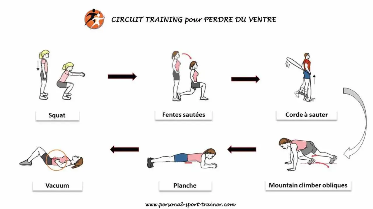 Circuit training pour perdre du ventre : squats, fentes sautées, corde à sauter, mountain climber obliques, planche, vacuum.