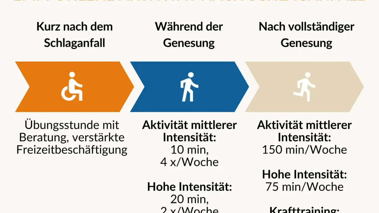 Empfohlene Aktivitäten nach Schlaganfall: Anfangs Übungen, dann schrittweise Steigerung der Intensität für das Schlaganfall Hand Training.