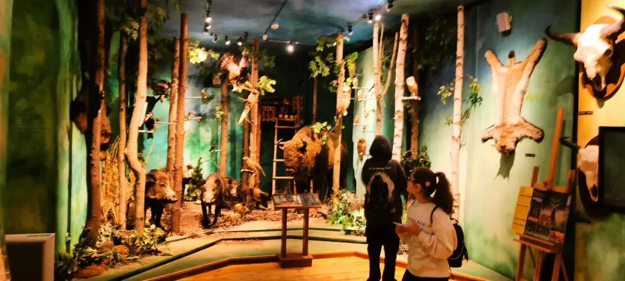 Muzeum Łowiectwa i Jeździectwa: Łazienki Wystawy, bilety, dojazd