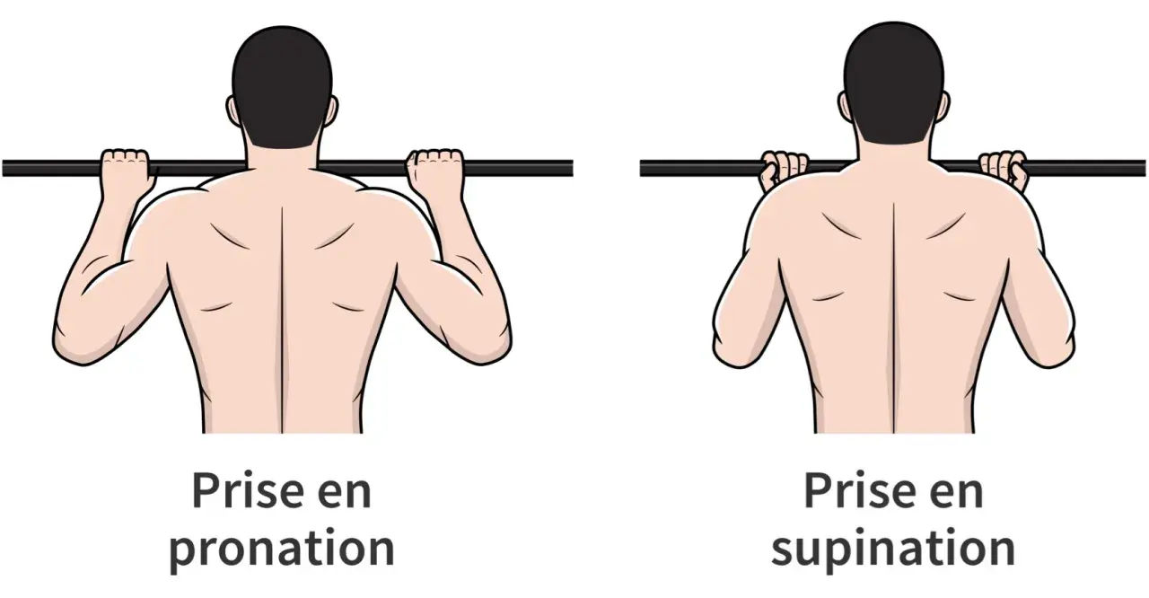 Comparaison de la prise en pronation et supination pour un exercice de traction. La pronation traction sollicite différemment les muscles du dos.