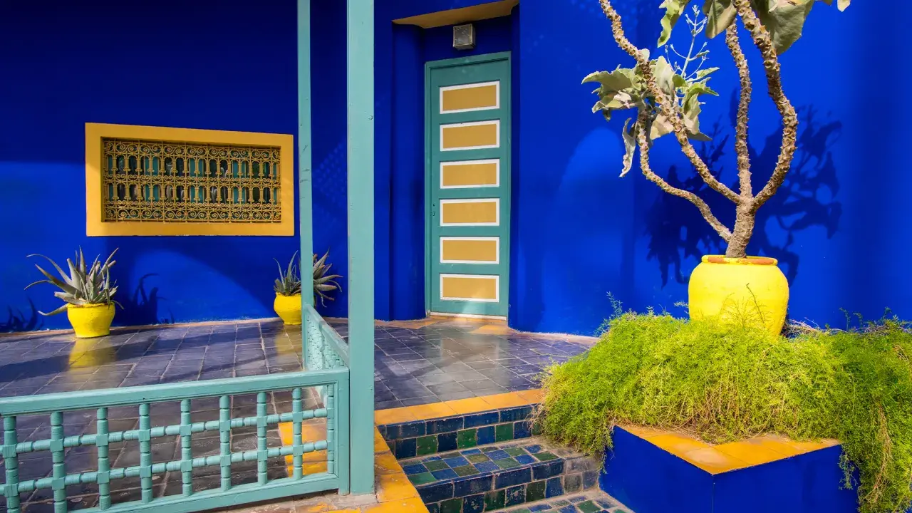 Un jardin aux murs bleu klein et bleu majorelle, avec une porte jaune et verte, des plantes luxuriantes et des carreaux colorés.