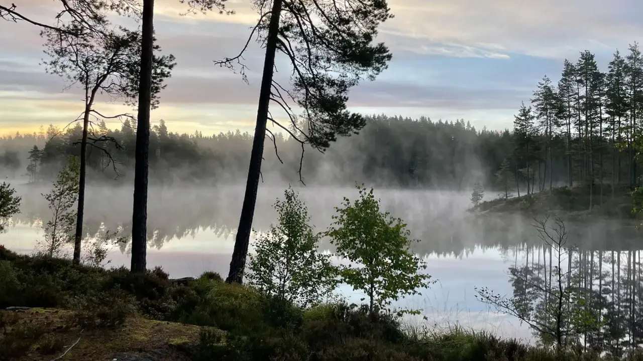 Tidig morgon vid en sjö i Glaskogen, dimma sveper över vattnet. En perfekt plats för glaskogen vandring.