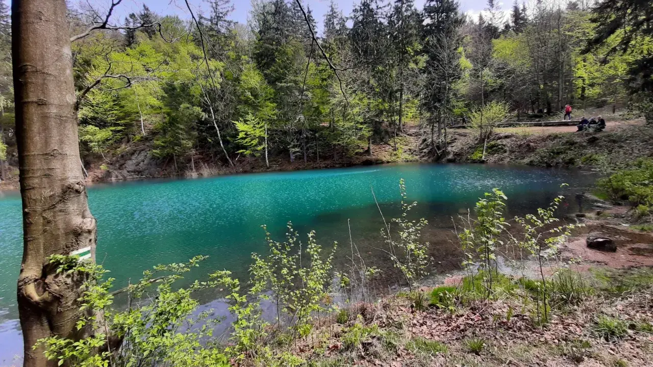 Turkusowe jezioro w lesie, idealne miejsce na jedne z wielu atrakcji do 30 km od Wrocławia.