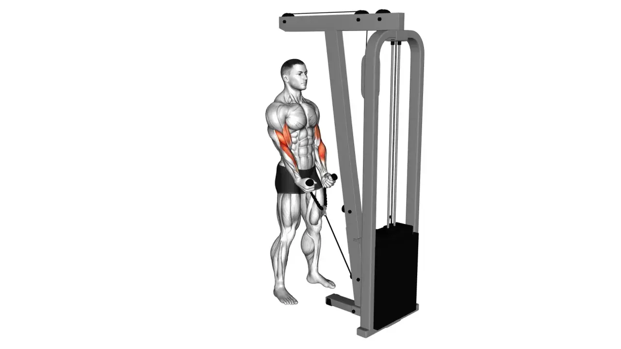 Mann macht Hammer Curls am Kabelzug, um seine Bizeps zu trainieren.