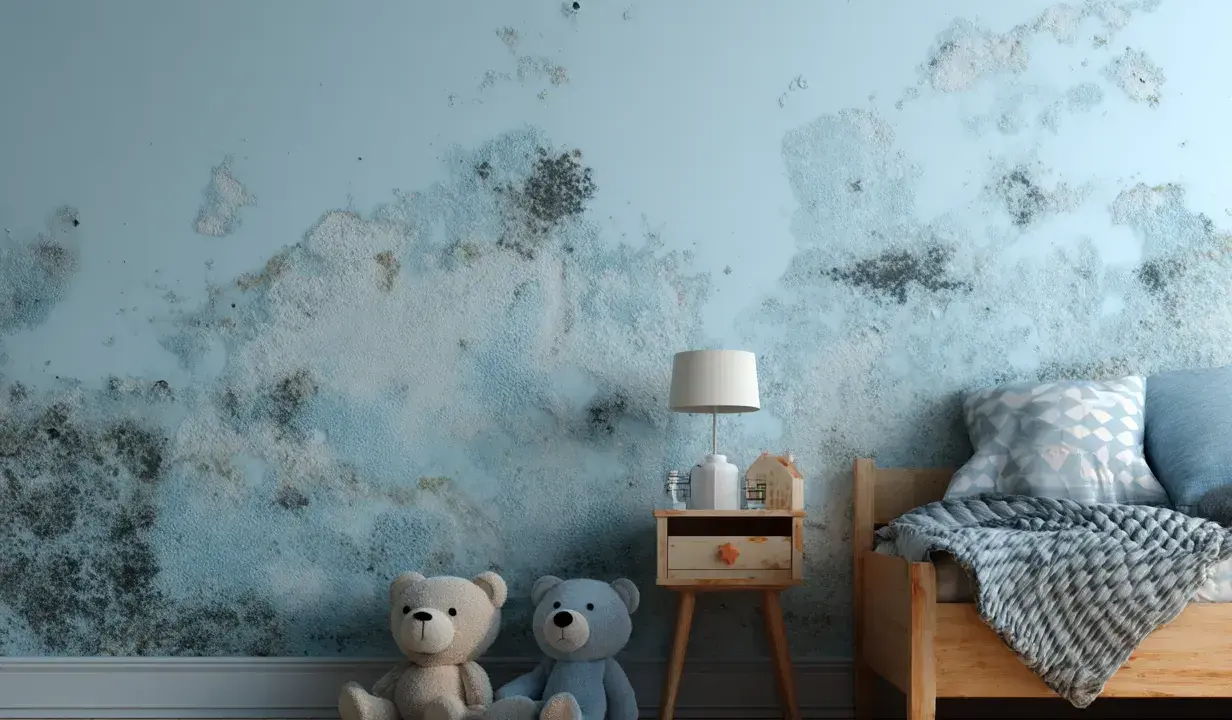 Schimmel an der Wand im Kinderzimmer. Die Auswirkungen von Schimmel auf ungeborene Kinder sind besorgniserregend.