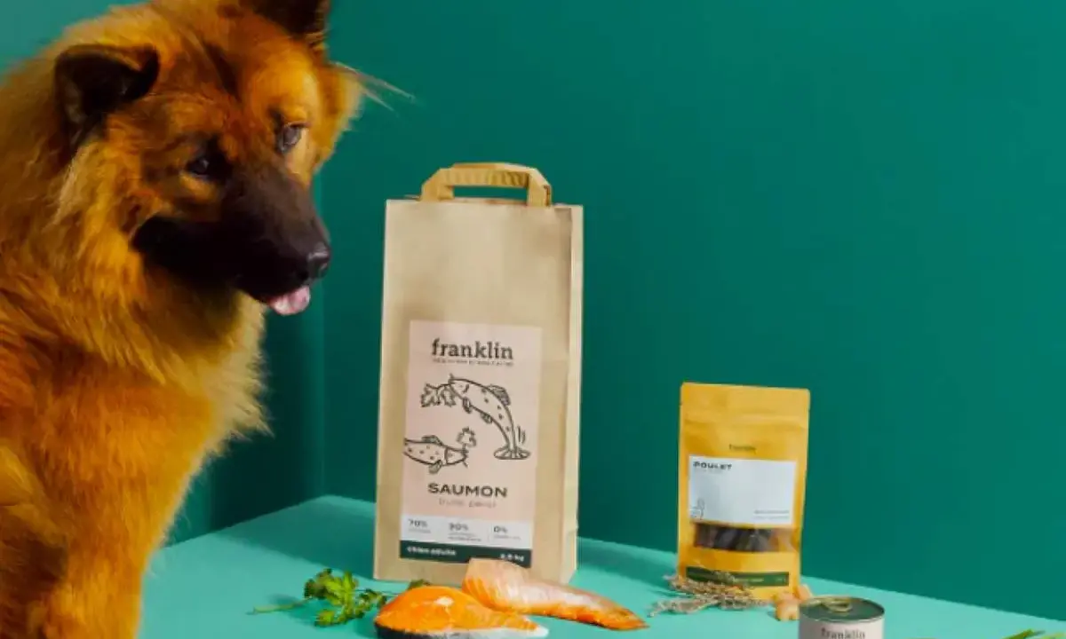 Un chien regarde des produits Franklin, dont un sac de saumon. Avis vétérinaire positif pour Franklin pet food.