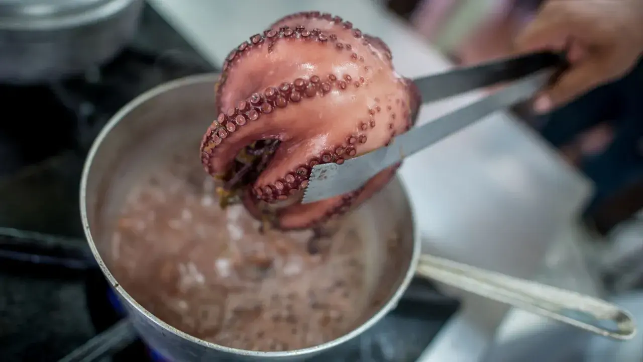 Un pulpo cocido, rosado y con sus tentáculos llenos de ventosas, es retirado de una olla burbujeante con unas pinzas.