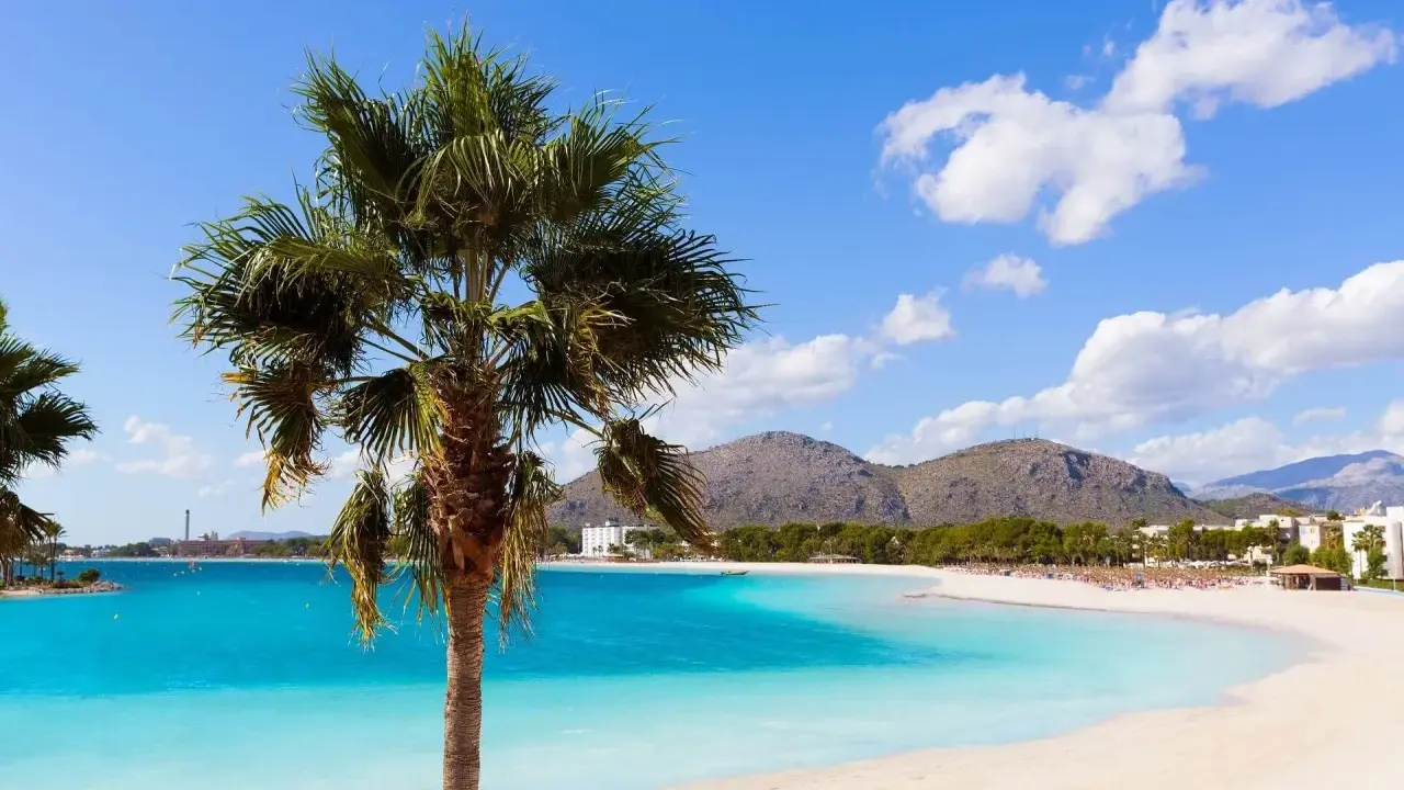 Traumhafter Blick auf den Can Picafort Strand mit Palmen, türkisblauem Wasser und Bergen im Hintergrund. Ein perfekter Urlaubstag.