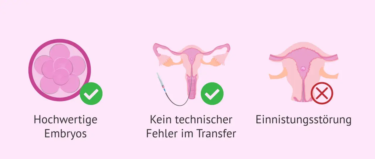 Hochwertige Embryos und kein technischer Fehler im Transfer sind wichtig. Eine Einistungsstörung kann das verhindern.
