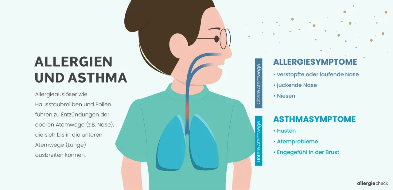Illustration zeigt, was tun bei allergischem Asthma: Symptome wie Niesen, Husten und Atemprobleme. Allergene reizen die Atemwege.