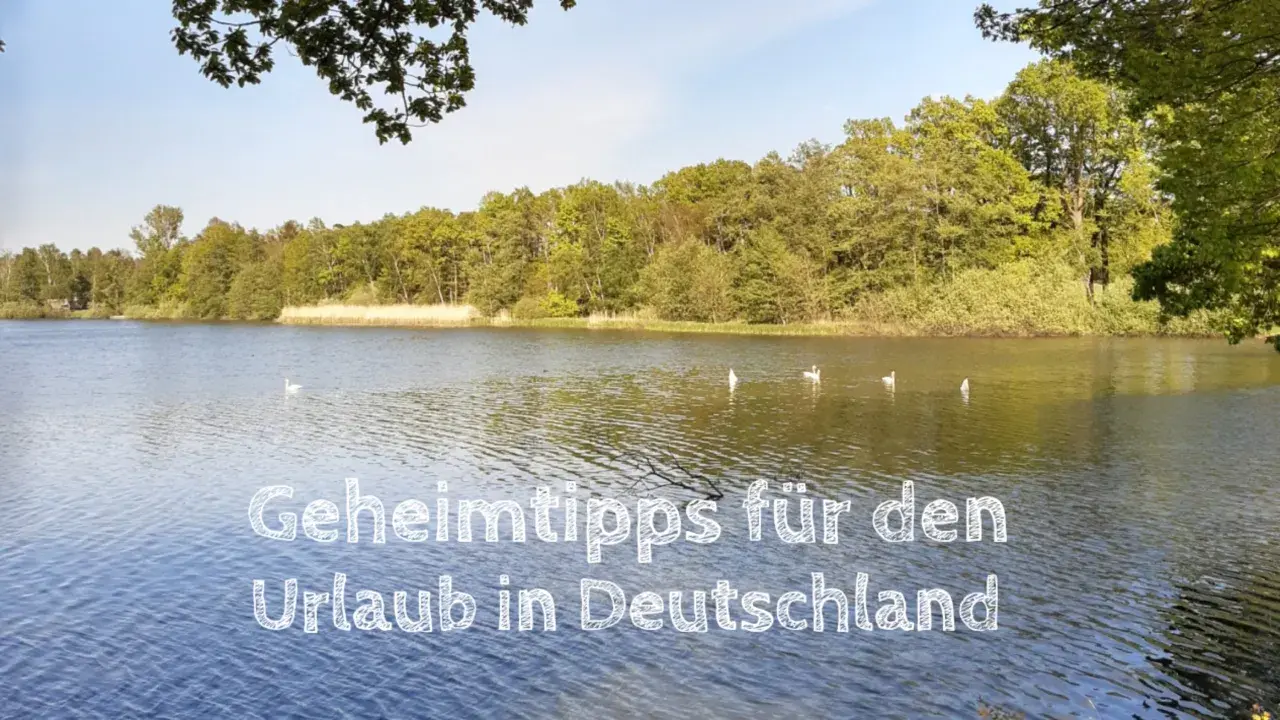 Idyllischer See mit Bäumen und Schwänen. Ein Geheimtipp für den Kurztrip Deutschland.