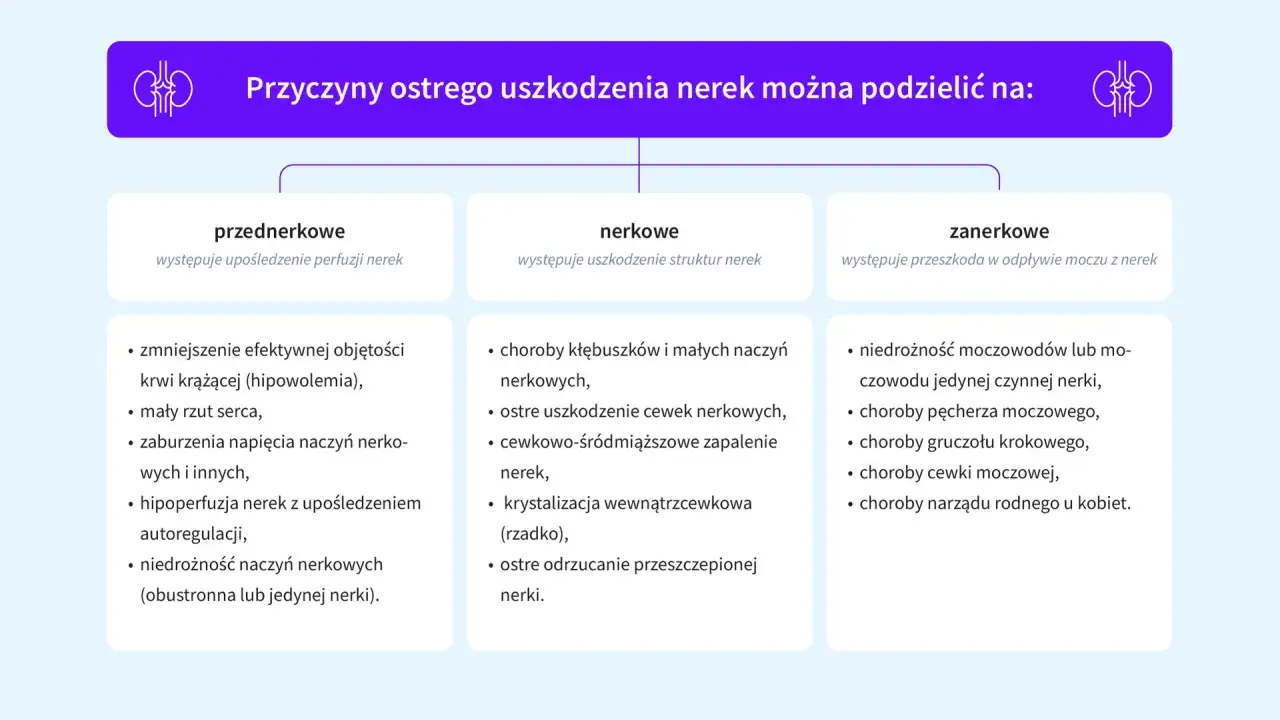 Schemat przyczyn ostrego uszkodzenia nerek (AKI): przednerkowe, nerkowe i zanerkowe.